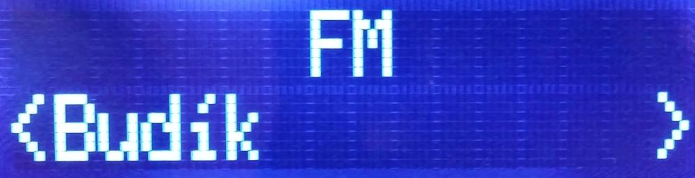 Technisat TechniRadio 1 - FM