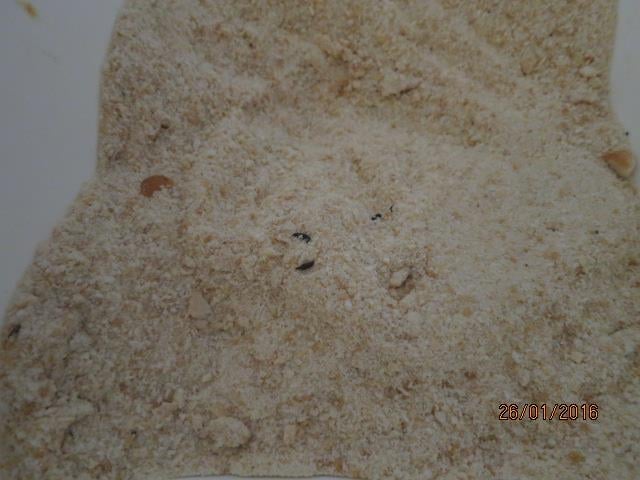 Oto Liberský, Plzeňská krčma, Vlašim. Zjištěné skutečnosti: Výskyt myšího trusu, provozovna nezabezpečená před pronikáním škůdců, výskyt plísní na stropě, výrazně zanedbaný úklid ad.