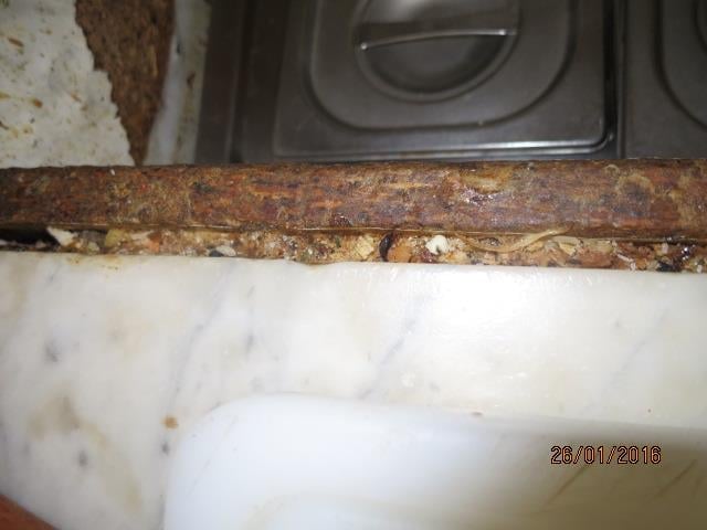 Oto Liberský, Plzeňská krčma, Vlašim. Zjištěné skutečnosti: Výskyt myšího trusu, provozovna nezabezpečená před pronikáním škůdců, výskyt plísní na stropě, výrazně zanedbaný úklid ad.