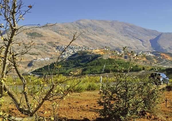 2014-10-na-golanskc3bdch-vc3bdc5a1inc3a1ch-politice-neutec48dete