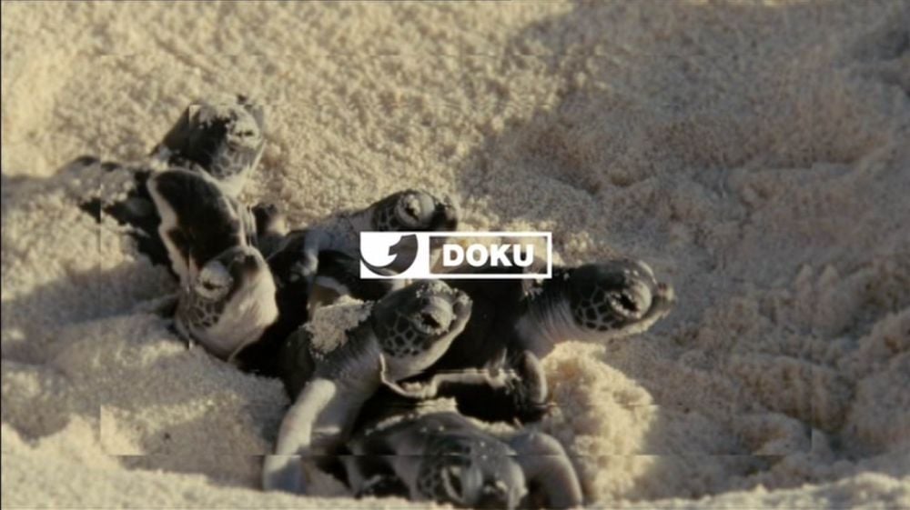 Nové hvězdy na satelitním nebi 19. až 22. září