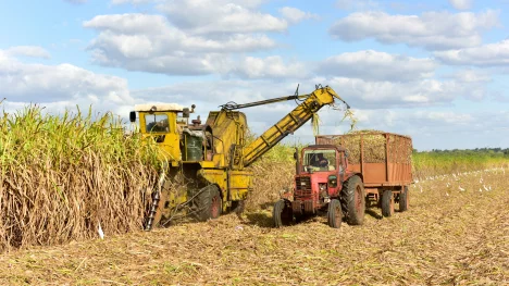 Náhledový obrázek - Kdysi věhlasný cukrovarnický průmysl na Kubě kolabuje. Vaz mu zlomila špatná vládní rozhodnutí i americké embargo