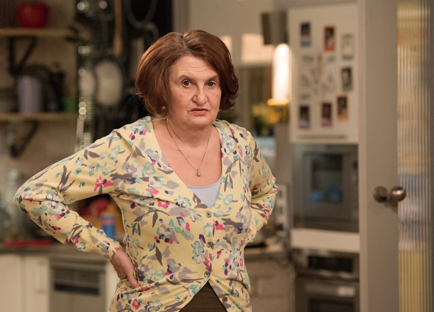 Tisková konference k chystanému sitcomu Rudyho má každý rád