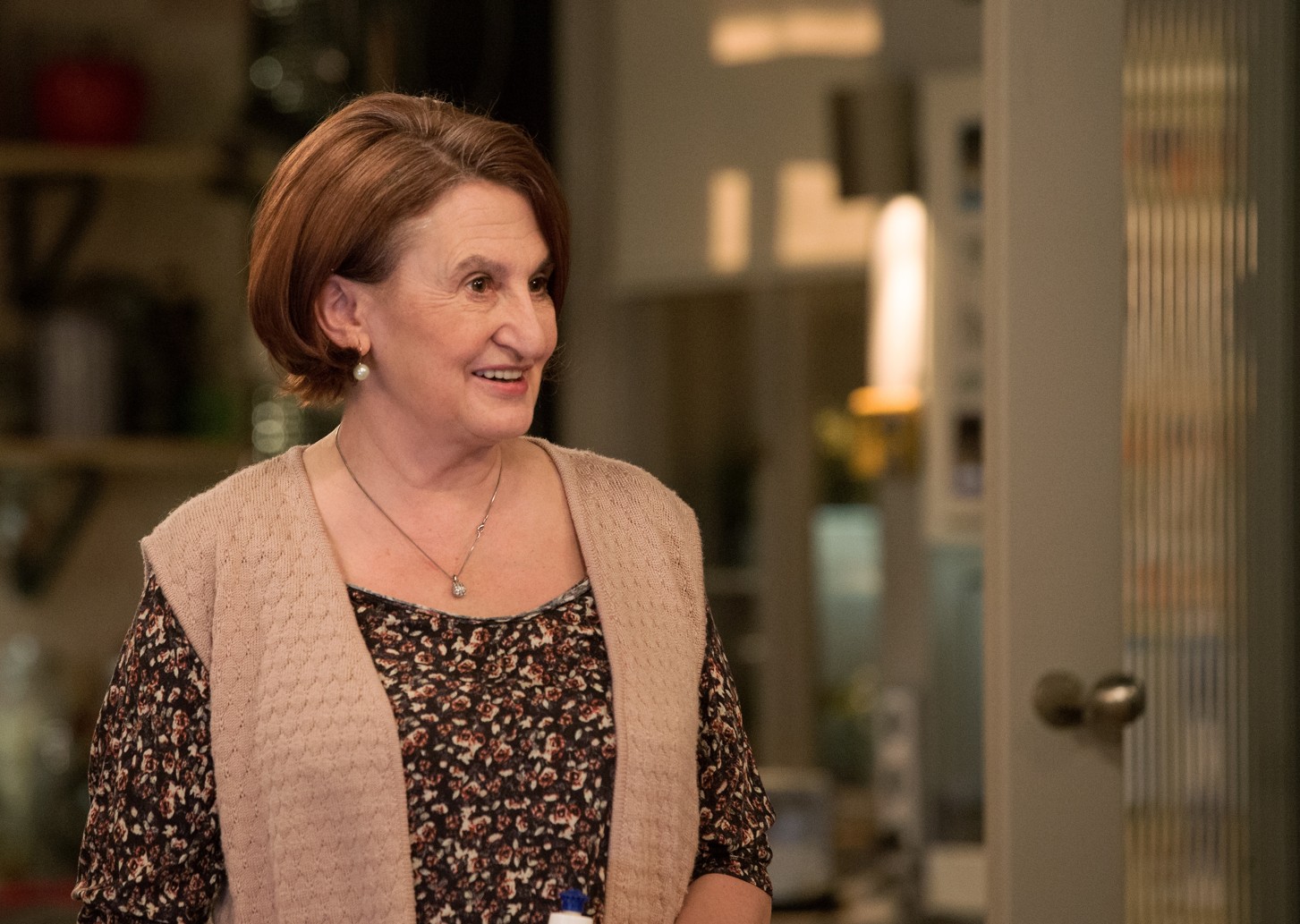 Tisková konference k chystanému sitcomu Rudyho má každý rád