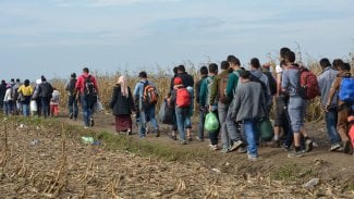 Migrace