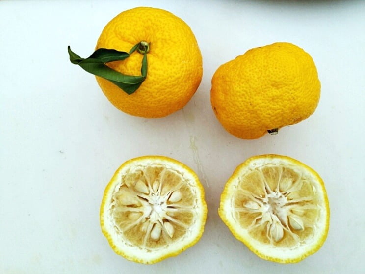 Chuťově je nejpodobnější grapefruitu, ale dužina yuzu je spíš suchá a obsahuje hodně pecek