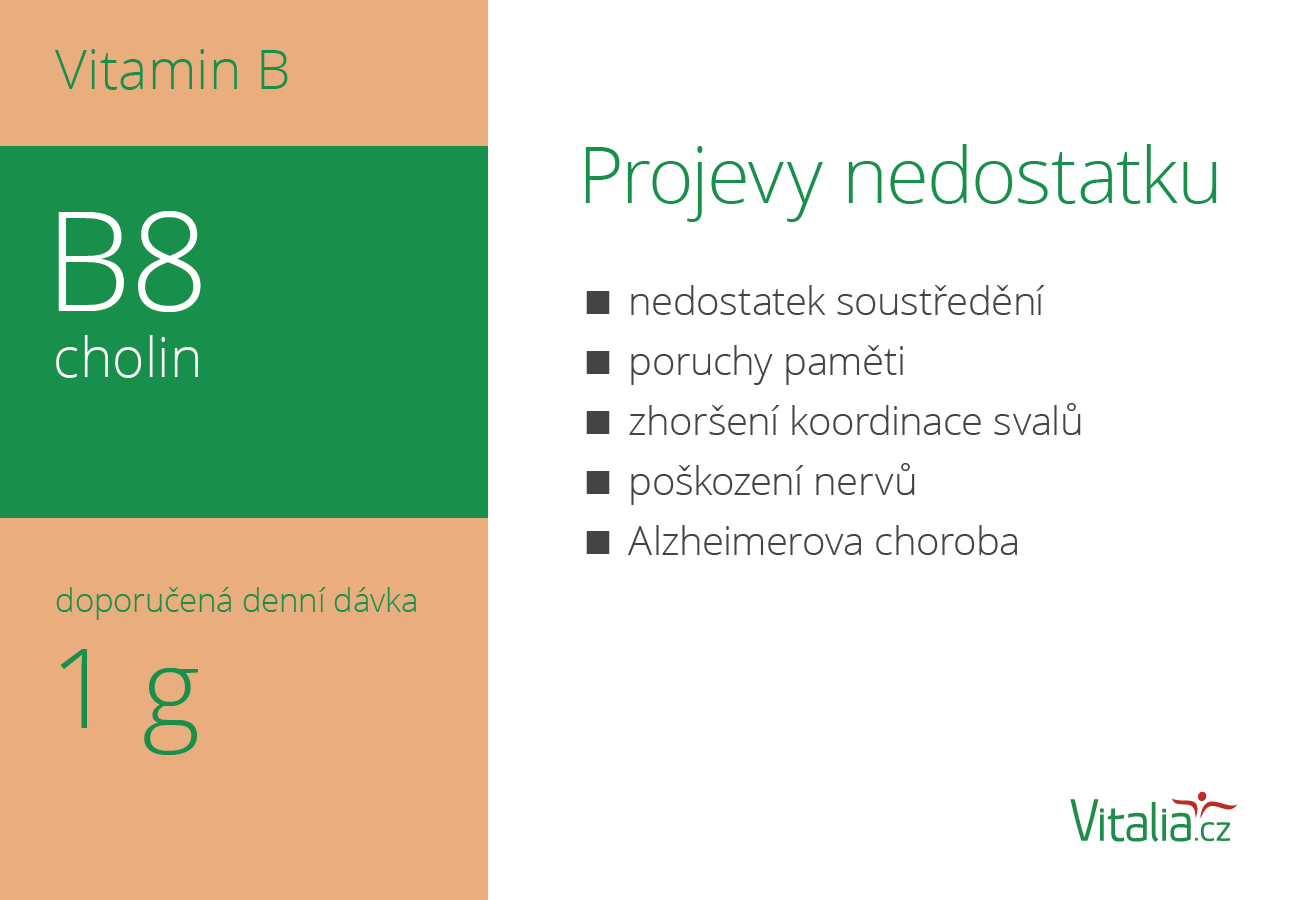 Vitamín B v potravinách