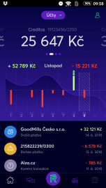 Celkový zůstatek, bilance po měsících a pohyby na účtech.