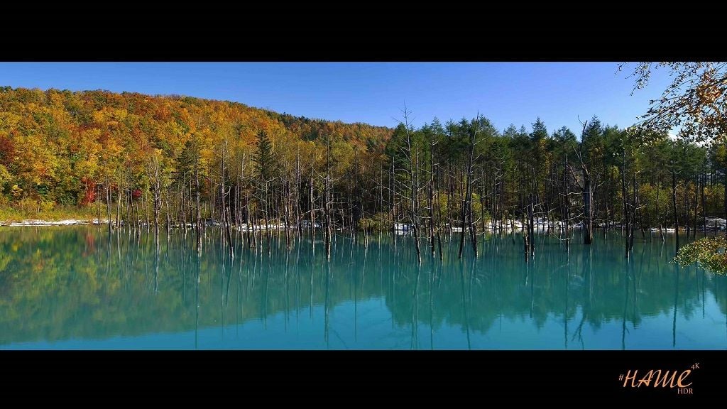 Nové satelitní FTA kanály 1. týden roku 2019