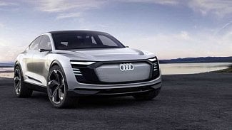 Náhledový obrázek - Audi bude mít letos hodně napilno. Těšte se na RS 6, RS 7 nebo e-tron Sportback