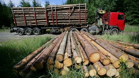 Náhledový obrázek - Z Česka mizí nejvíc surového dřeva z EU. Stát to chce změnit podporou zpracovatelů