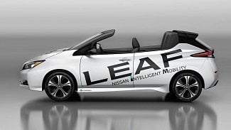 Náhledový obrázek - Nissan Leaf také jako kabriolet? Naštěstí vznikne jen jeden kus