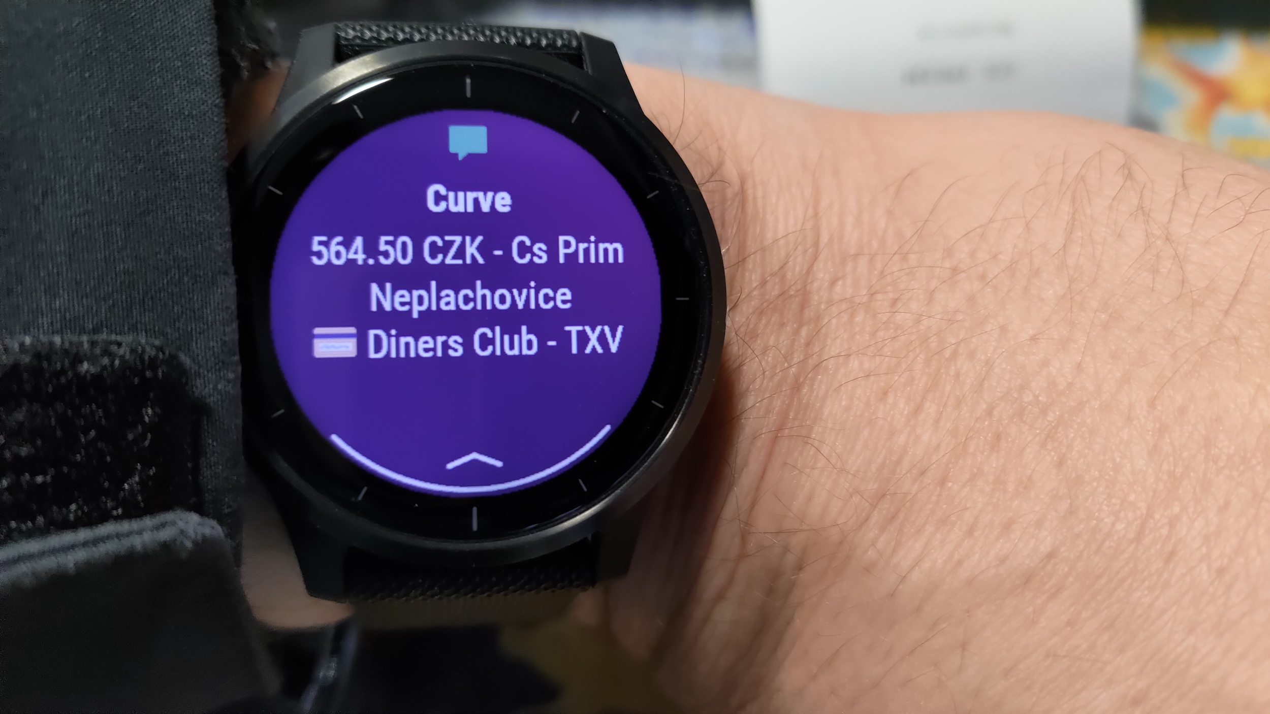 Garmin Pay.