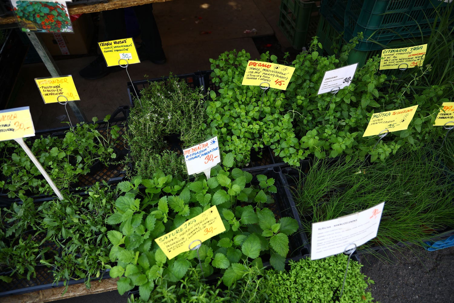 Nesmí chybět bohatá nabídka různých bylinek.