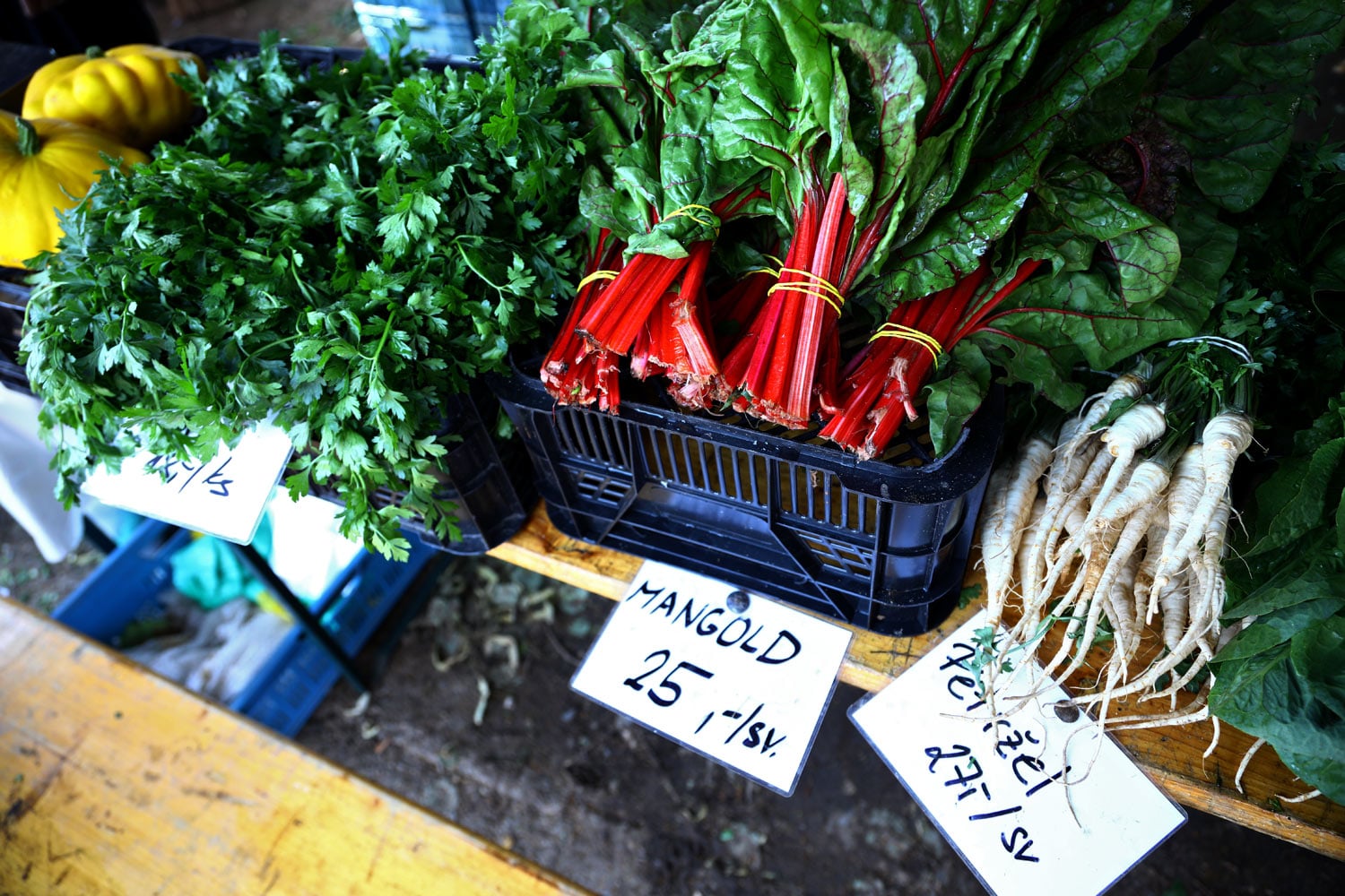 V létě se na řadě míst konají trhy. Nabídka je pestrá