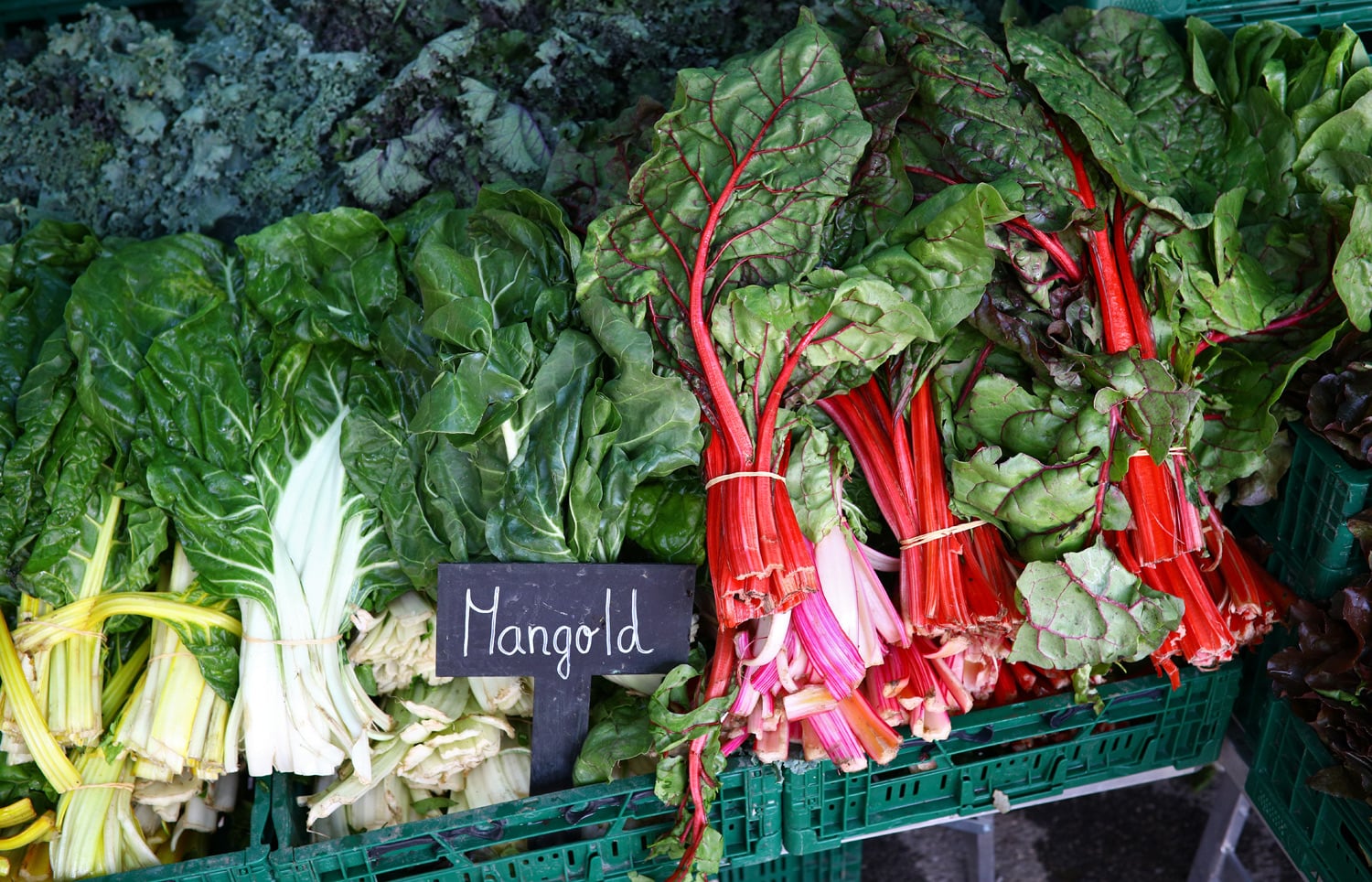 Na výběr je i celá řada netradičních druhů zeleniny.