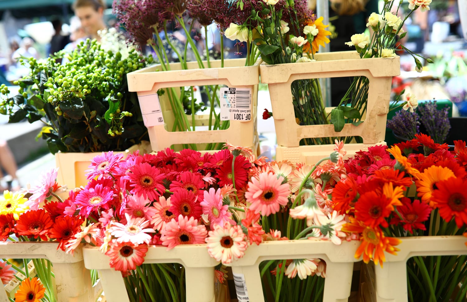 Nakoupíte i květiny.