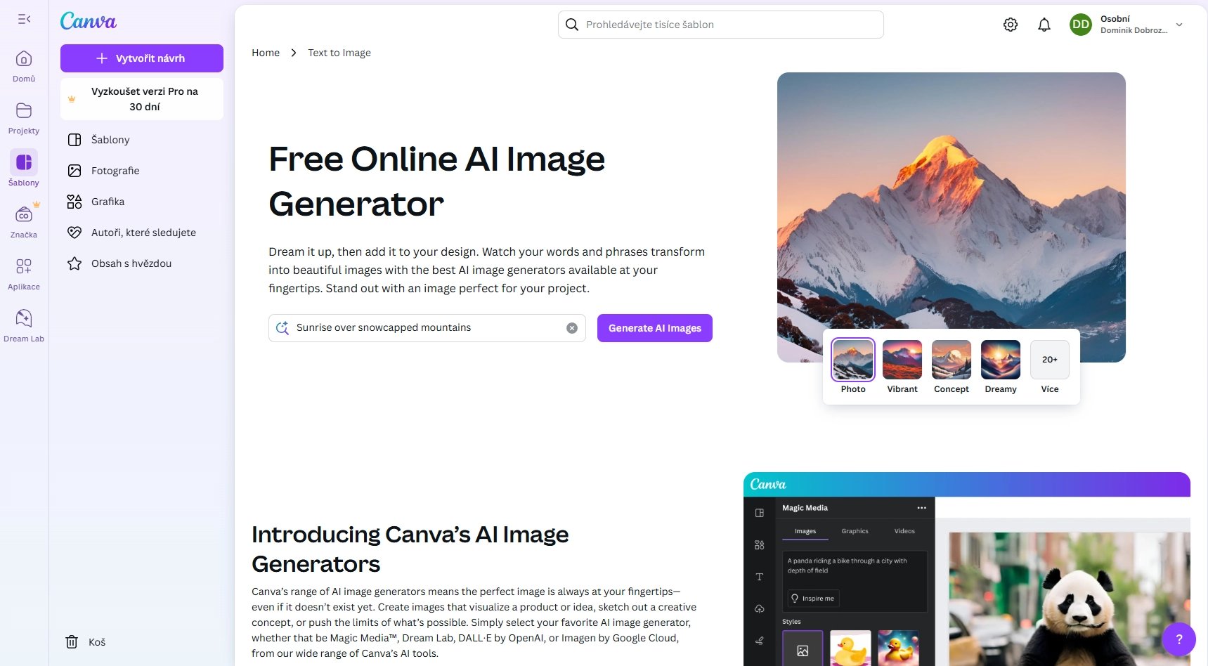 Canva AI