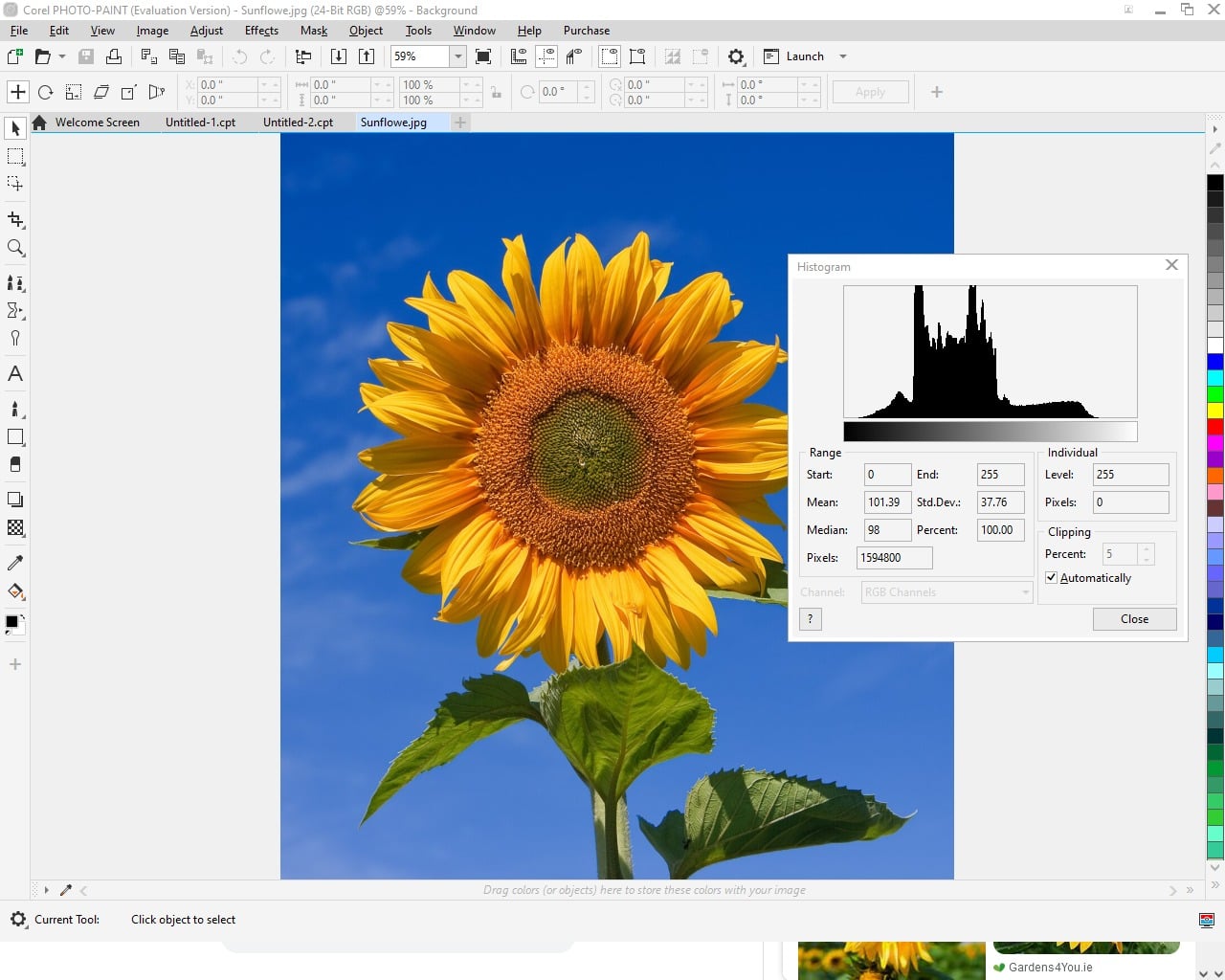CorelDraw Graphic Suite 2025
