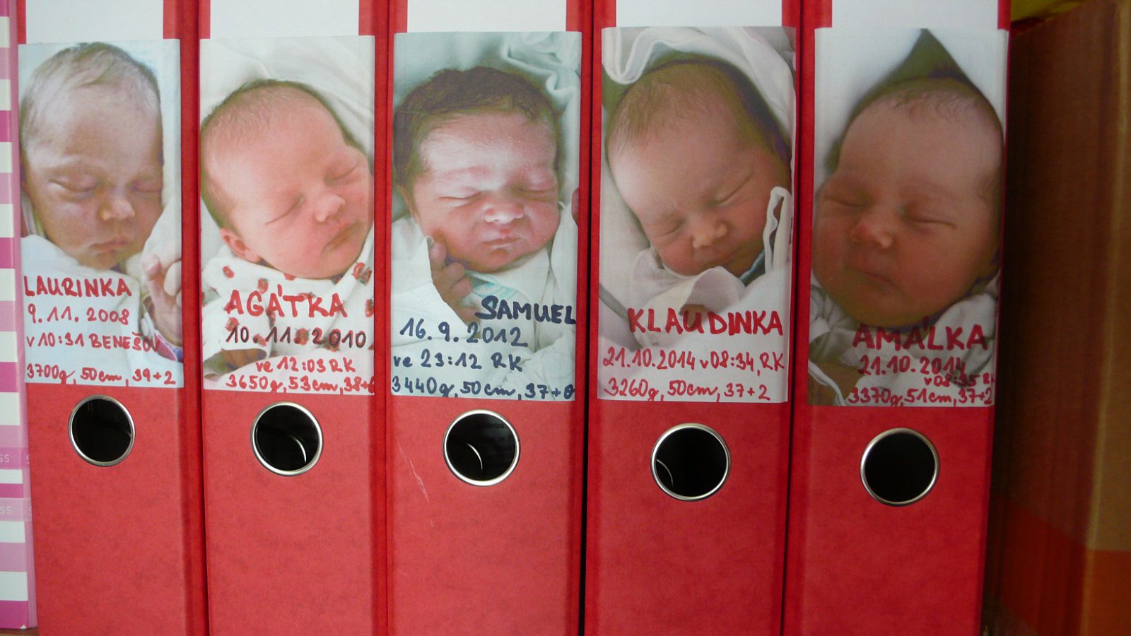 Táta na plný úvazek na obrazovce televize Prima