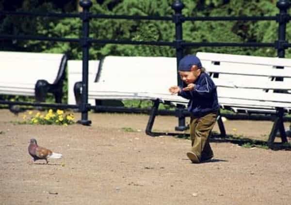 2019-03-topmanac5beer-pavel-c5a1varc-poc5a1ilhc3a1vc3a1-po-umc49