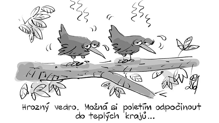 Vtip o horku