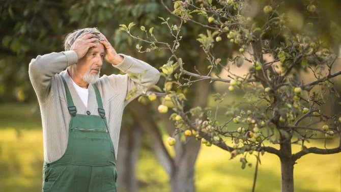 5. 3. 25 / 1x / zemědělec, zoufalost, farmář, strom