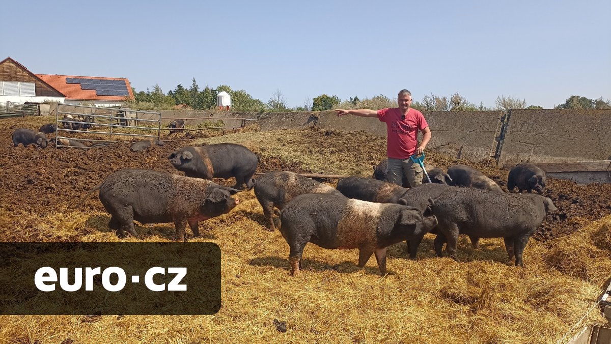 Regenerativním zemědělstvím ke zdravější půdě a tělu. Na produkty z farmy Mitrovský Angus sází i známý český výrobce doplňků stravy Trime