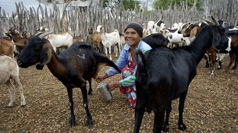 Náhledový obrázek - Jak vydělat na obchodní válce? Vsaďte na brazilské farmáře