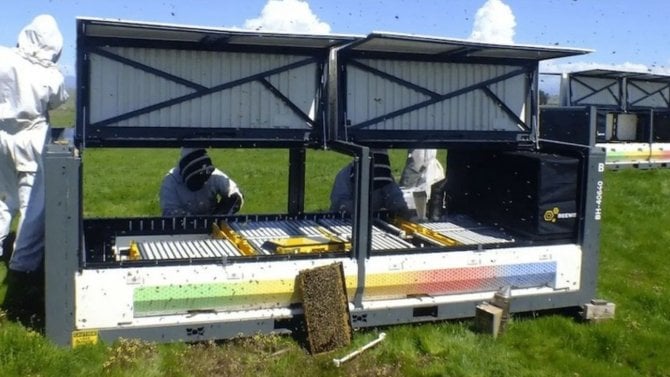 Tradiční úly nestačí. Umělá inteligence a robotika mají zachránit včely, které každoročně masově hynou