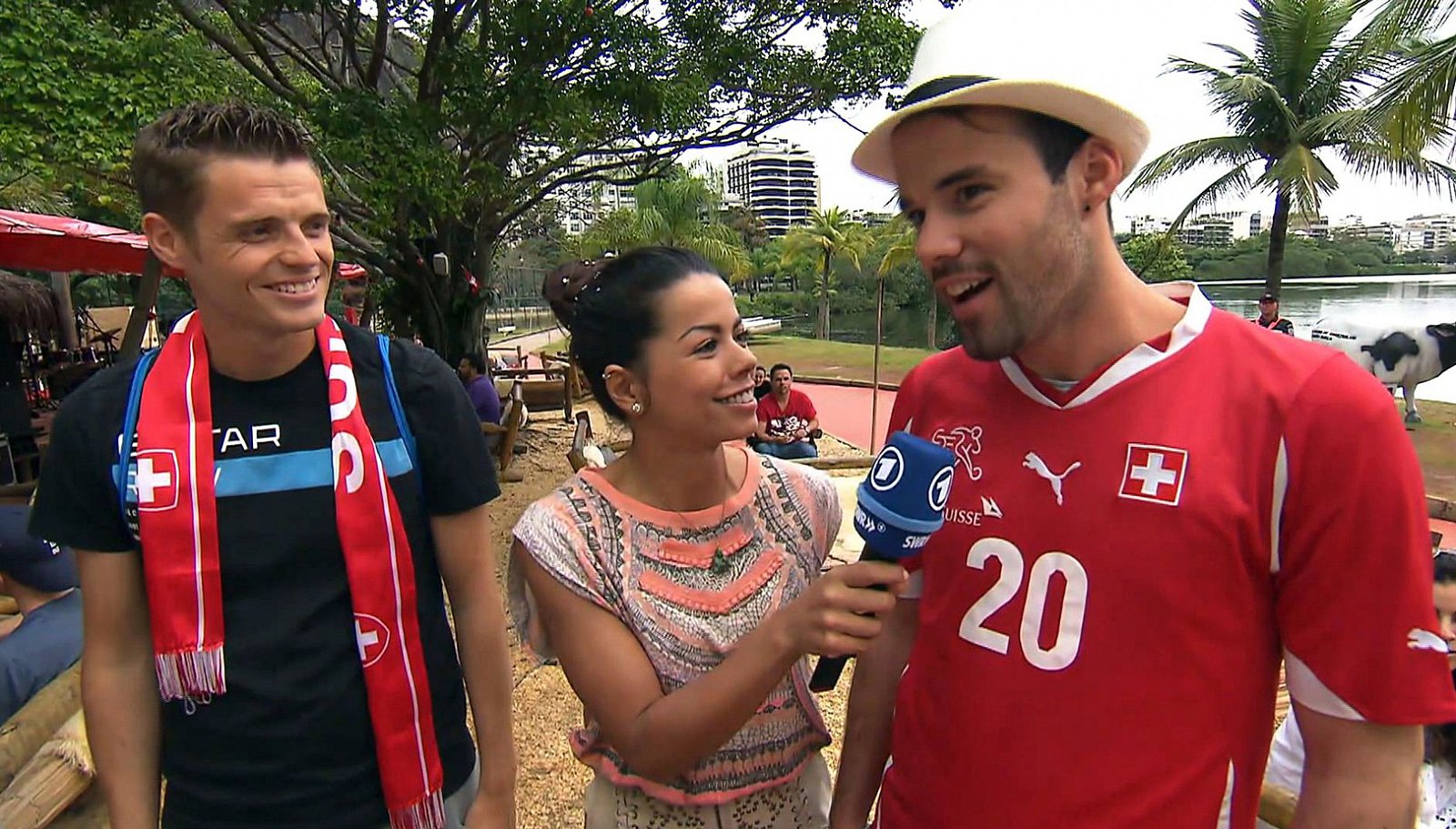 Mistrovství světa ve fotbale 2014 na obrazovce německé ARD