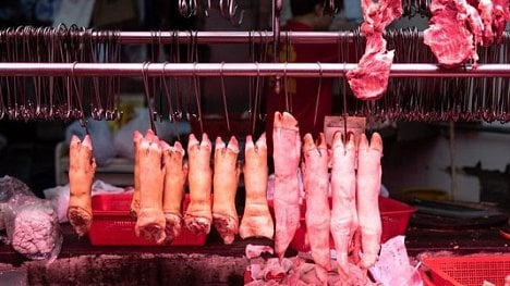 Náhledový obrázek - Morová rána: Čína zlikviduje 200 milionů prasat, maso podraží i v Evropě