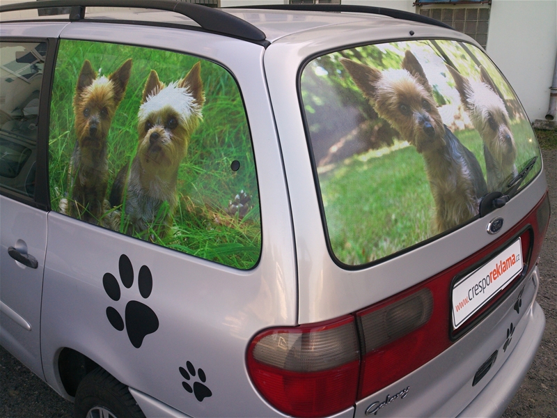 Polepy firemních vozů dnes nabízí nepřebernou škálu možností.