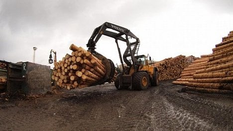 Náhledový obrázek - Ve Štětí začne výstavba pily. Za 100 milionů eur ji postaví Labe Wood