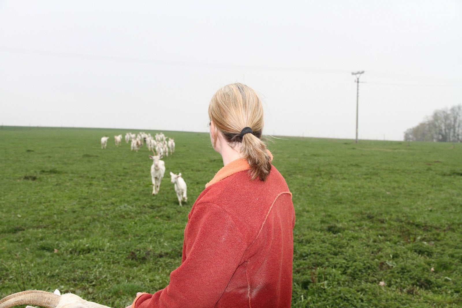 Farma Šťastná koza: ekofarma, kde jsou kozy šťastné