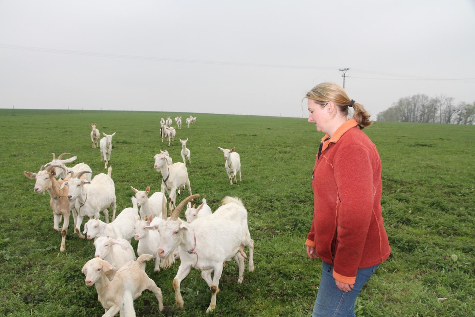 Farma Šťastná koza: ekofarma, kde jsou kozy šťastné