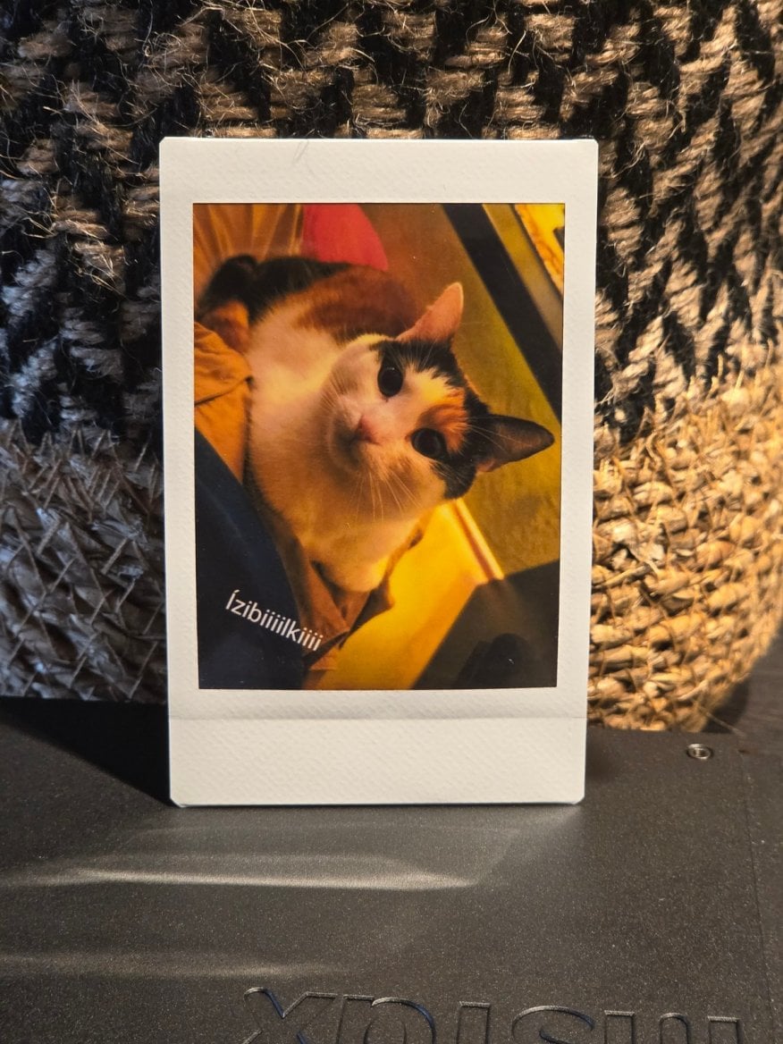 Instax mini Link+ fotky