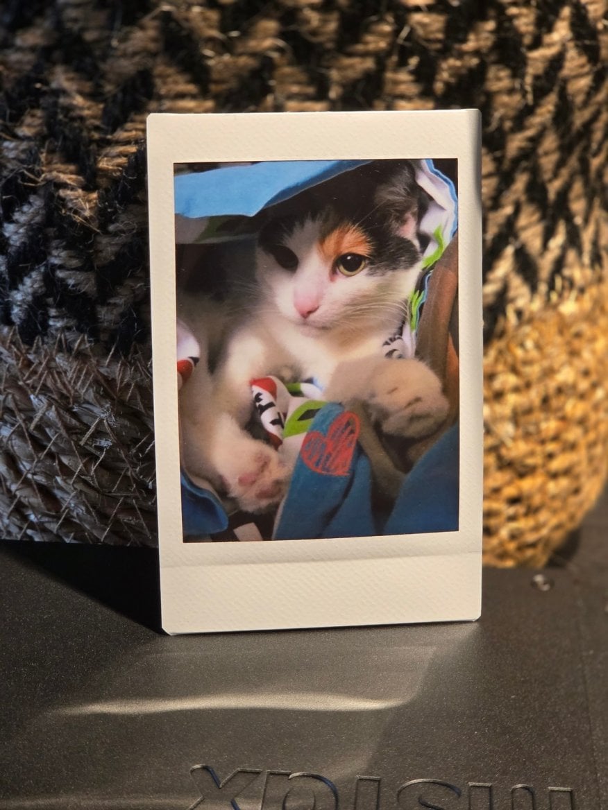 Instax mini Link+ fotky