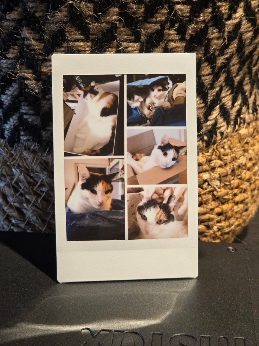 Instax mini Link+ fotky