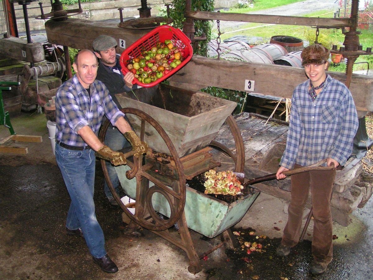 Tradiční cider versus koncentrát