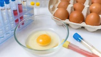 Náhledový obrázek - Salmonelóza je relativně časté průjmové onemocnění. Specifickou léčbu většinou nevyžaduje