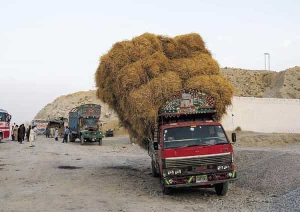 2014-12-v-pc3a1kistc3a1nu-se-nepospc3adchc3a1-nenc3ad-proc48d.jp