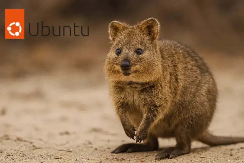 Ubuntu 25.10 - klokan quokka