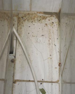 Zámecká restaurace, Přemyslovice 