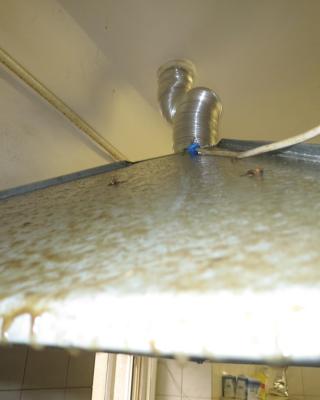 Zámecká restaurace, Přemyslovice