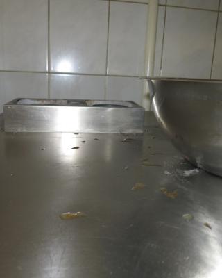 Zámecká restaurace, Přemyslovice -  Výskyt myšího trusu. Výrazně zanedbaný úklid. Výrazné znečištění všech prostor. Nečistoty na podlaze. Nečistoty na regálech či zařízeních. Uzavřena část provozovny - kuchyň.