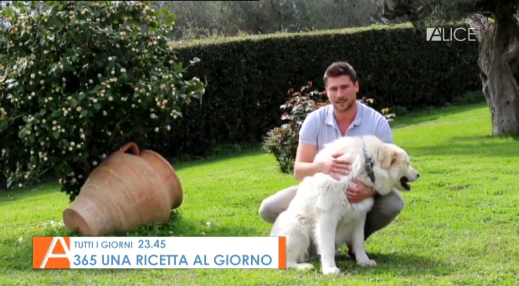 Nejzajímavější satelitní kanály v dubnu 2017