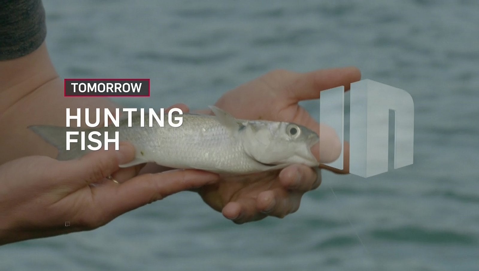 Nejzajímavější satelitní kanály v dubnu 2017