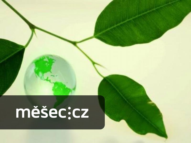 MONETA Money Bank má pro podnikatele nový "zelený" úvěr až do 2,5 mil. Kč bez zajištění