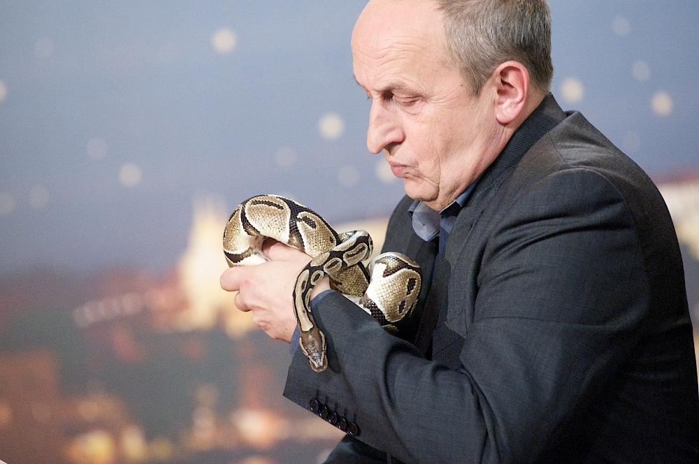 Show Jana Krause přitvrzuje. Kvůli Intim Night na TV Barrandov?